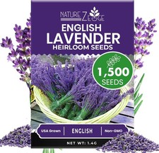 NatureZ Edge1500 English Lavender Seeds for Planting 1 pack,