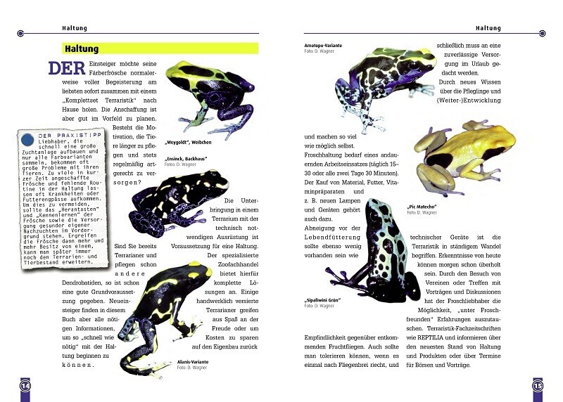 Thumbnail - Der Färberfrosch - Dendrobates Tinctorius | Dirk Wagner | Deutsch