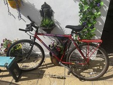 womens Mountain Bike Carrera Krakatoa