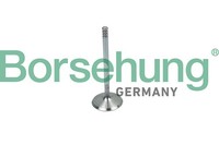 Einlassventil Borsehung B19018 FüR VW Golf 3 1H1 Variant 1H5 Vento 1H2 Passat B3