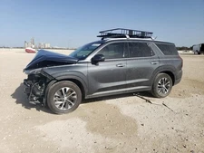 Driver Left Air Bag Driver Roof Fits 20-24 PALISADE 1638551