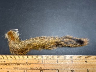 Pine Squirrel Tail Fly Tying Hair - Natural