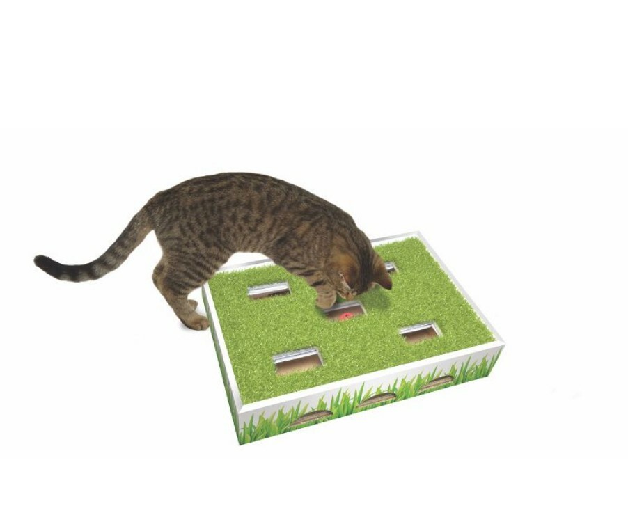 Cat Grass Patch Hunting Play Box Jingle Balls Petstages Faux Grass New