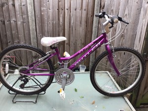claud butler girls bike