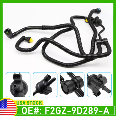 ふく29 6310d0878412bad447acfecf9ddc13