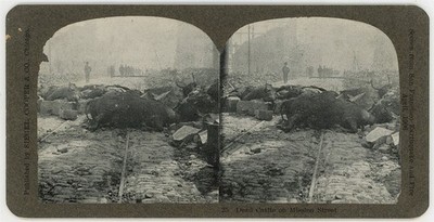 SAN FRANCISCO SV - Earthquake - Dead Cattle on Mission Street - Phillips c1906