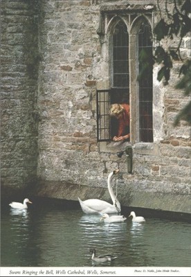 John Hinde Postkarte Wells Kathedrale Schwäne läuten Glocke Somerset