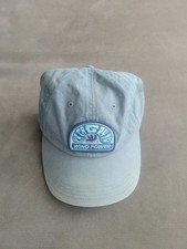 Patagonia Wind Power Hat Cap Strapback Blue Green Embroidered Renewable Energy