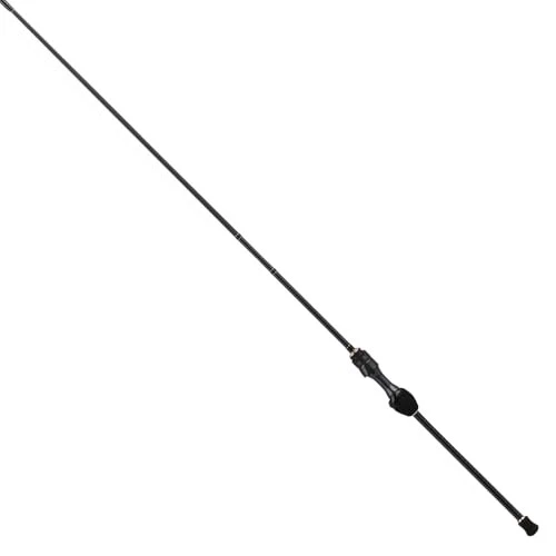 Tailwalk 25 AJIST SD S72/TT Spinning Rod
Opens in a new window or tab