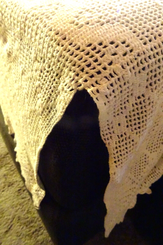 50er Jahre Tagesdecke gehäkelt 220x220cm plus 3-seitiger hoher Ziersaum Handarb. - Bild 4 von 4