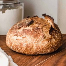 Dehydrated Sourdough Starter Sour Tasty Alaska - 15 Gram Bag
