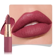 evpct Maroon Wine Red Matte Creamy Lipstick for Women Long Lasting Waterproof...
