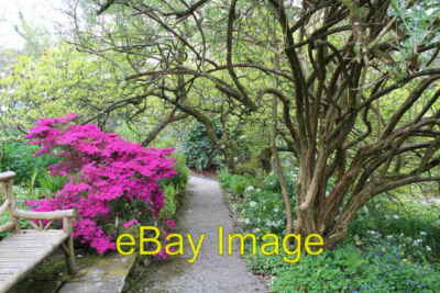 Photo 6x4 Secrets of Mrs Fanning Evans' Secret garden Mrs Fanning Evans w c2017