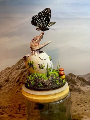 Taxidermy Mount Hatching Albino Caimán & Butterfly Related Alligator Crocodile