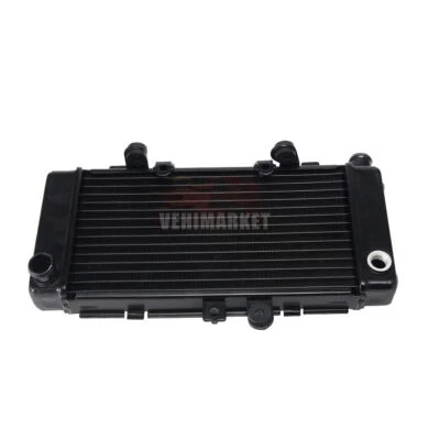 radiateur de refroidissement pour Honda CB250F Hornet 1996-2001 1997 1998 1999 - Photo 1/4