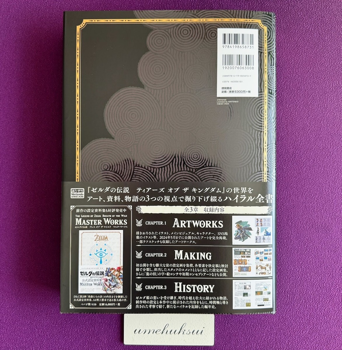 The Legend of Zelda Tears of the Kingdom Masterworks Official Art