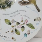 Bild 8 von 12