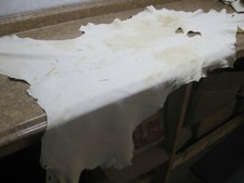 Top Grain Deer Leather - Damaged 0011666 Row 58