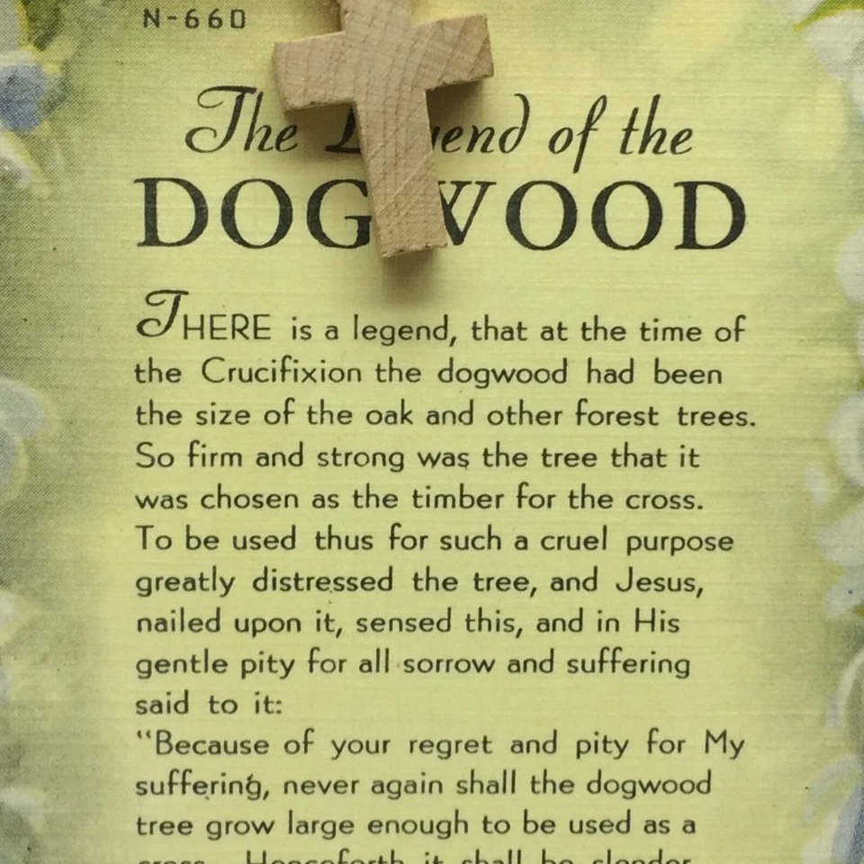 Vintage Postcard Legend Of the Dogwood Story Crucifixion - Image 3 of 4