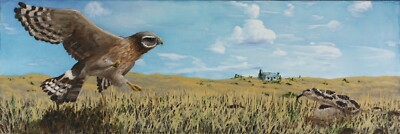 #ad Oil Painting Hawk Bird Hunting Rattlesnake Snake Landscape Animal Art A. Joli $1500.00