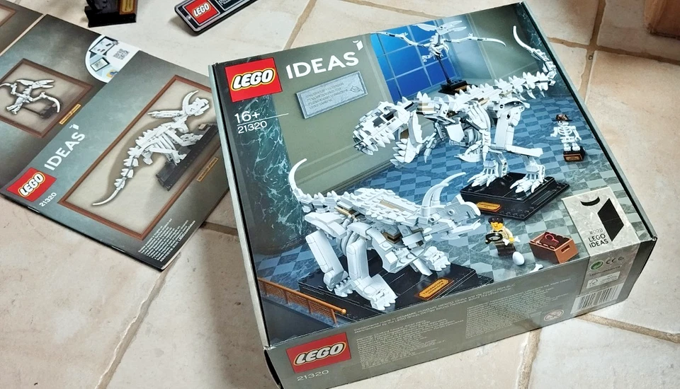 LEGO Ideas 21320 Dinosaur Fossils, foto 4 di 5