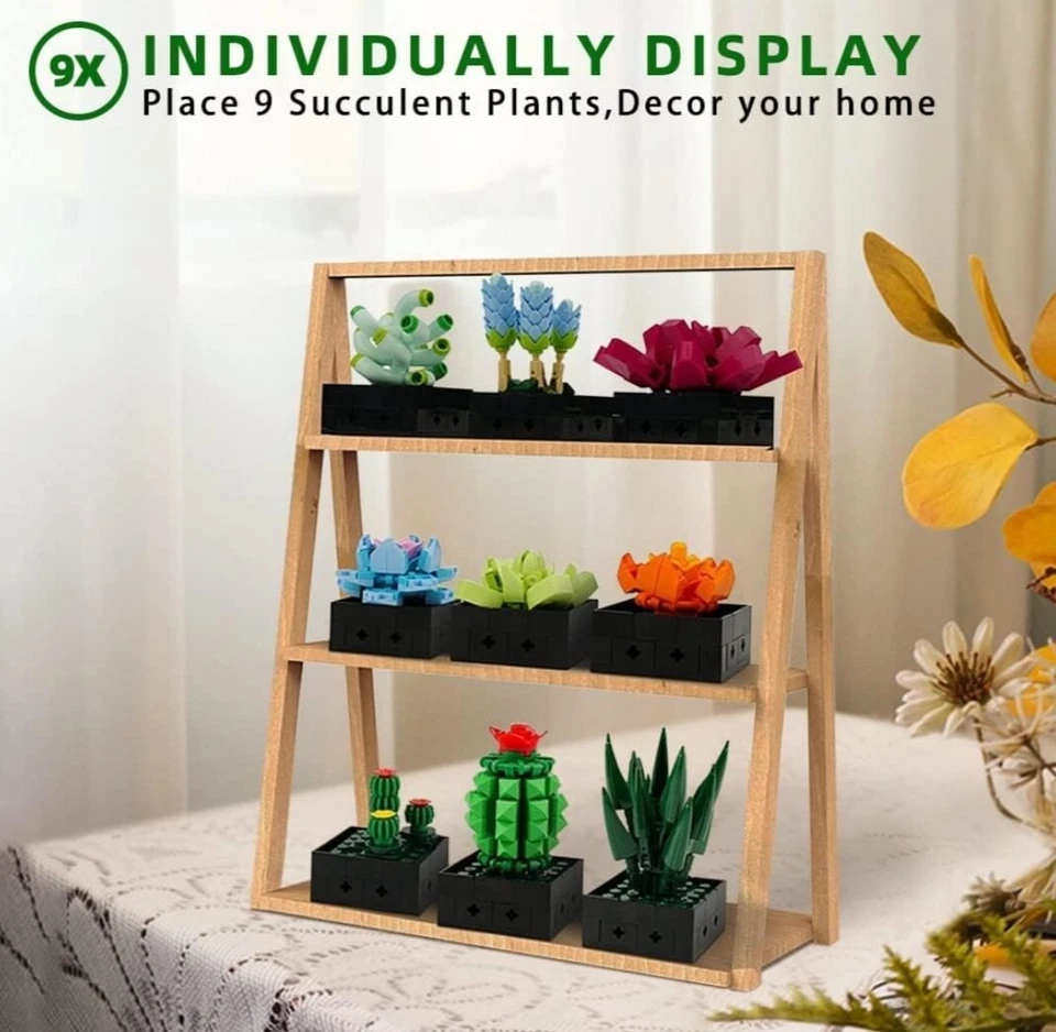 Succulent Bonsai Building Kit, - Image 3 of 4