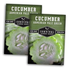Armenian Pale Green Cucumber Seeds for Planting | Heirloom Non-GMO Variety 2