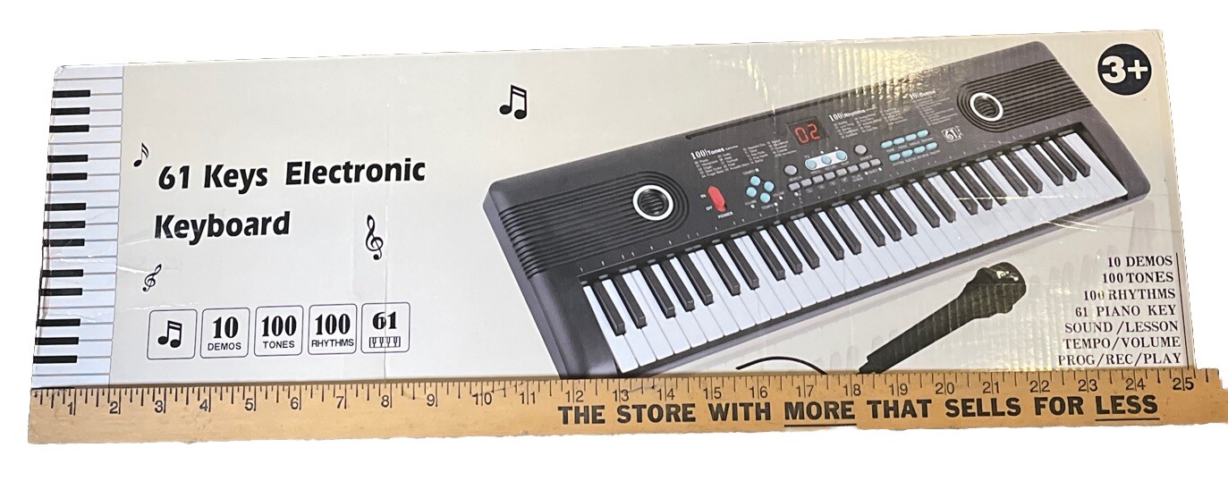 Baidren BD600 61-Key Digital Piano with Built-In Speakers & Microphone-image