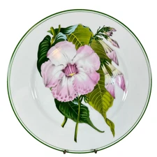 Haldon Group Japan Millefleur 1983 Dinner Plate Painted Pink Flower 10.25"