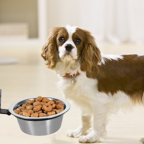Dog Bowl Elevated Wall Mounted Pet Feeder Pets Feeding Rack Travel Water Food - Picture 6 of 12