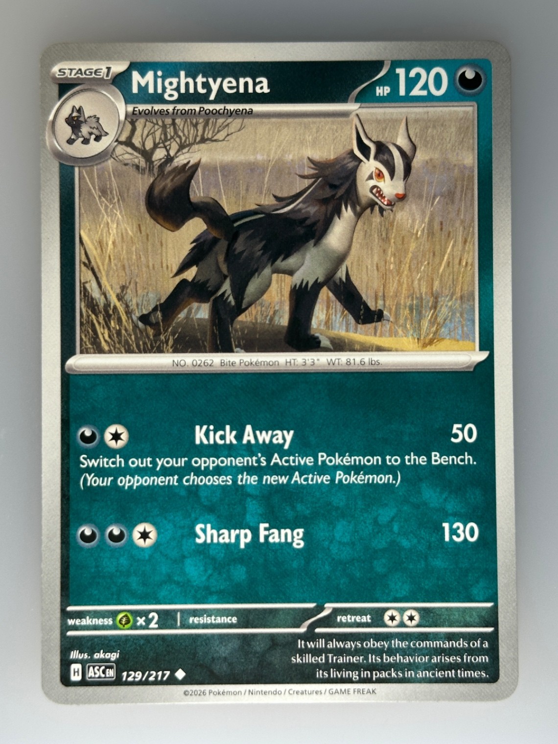 Pokemon Mightyena ME: Ascended Heroes (ASC) 129/217 NM
