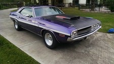 1970 Dodge Challenger for Sale
