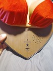 Vtg Jingle Jugs “The Trophy Rack” Sings and Moves On Plaque RARE Gag Gift TESTED — photo 5
