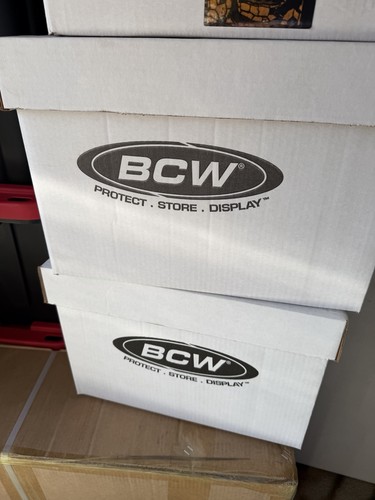 Two BCW Comic Short Boxes