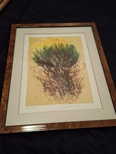 litografia firmata numerata