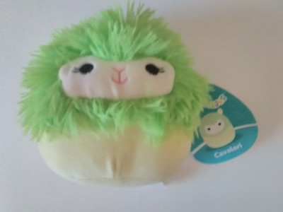 Squishmallow Cavaleri the Llama   NEW