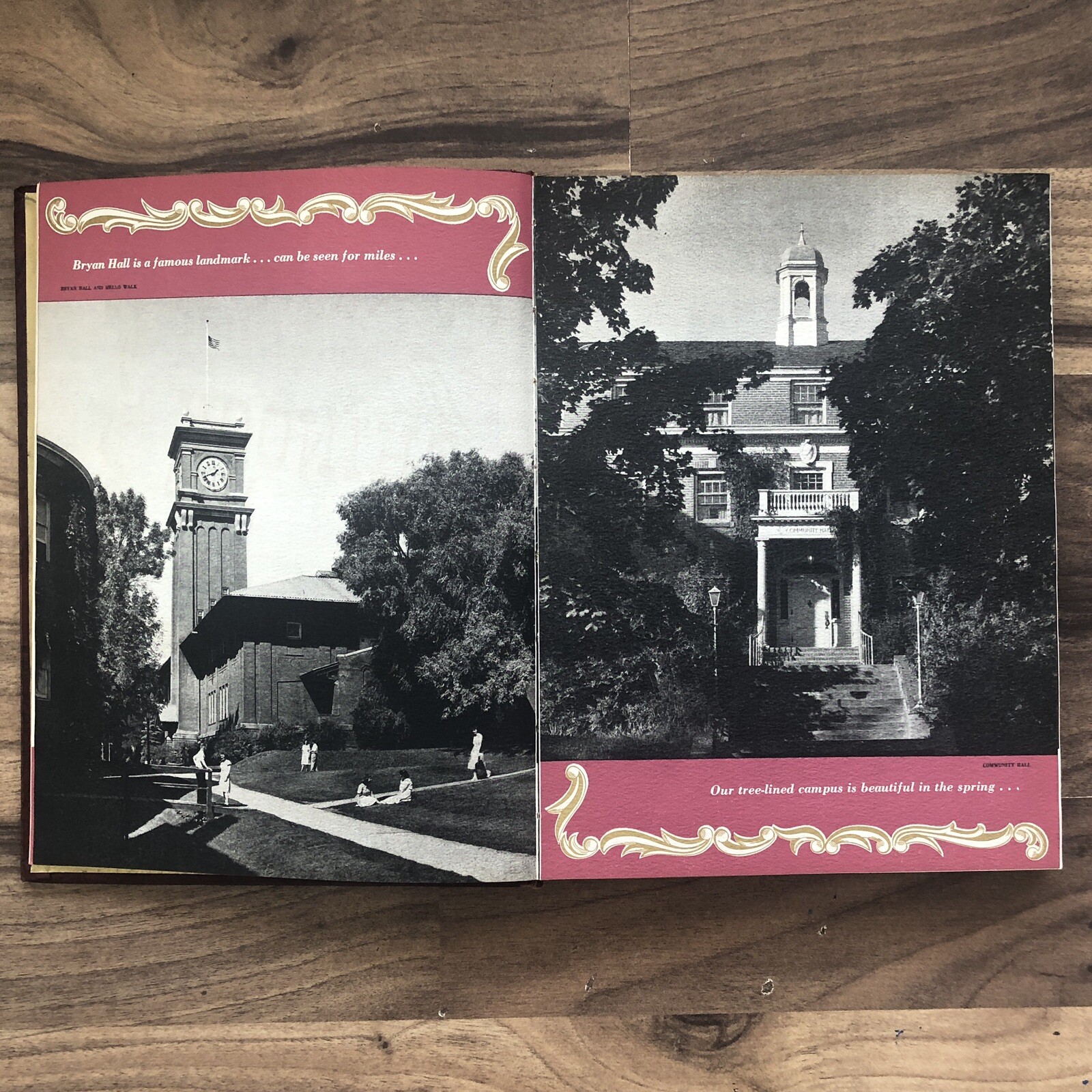 1949 Chinook Washington State University State College Year Book WSC | eBay