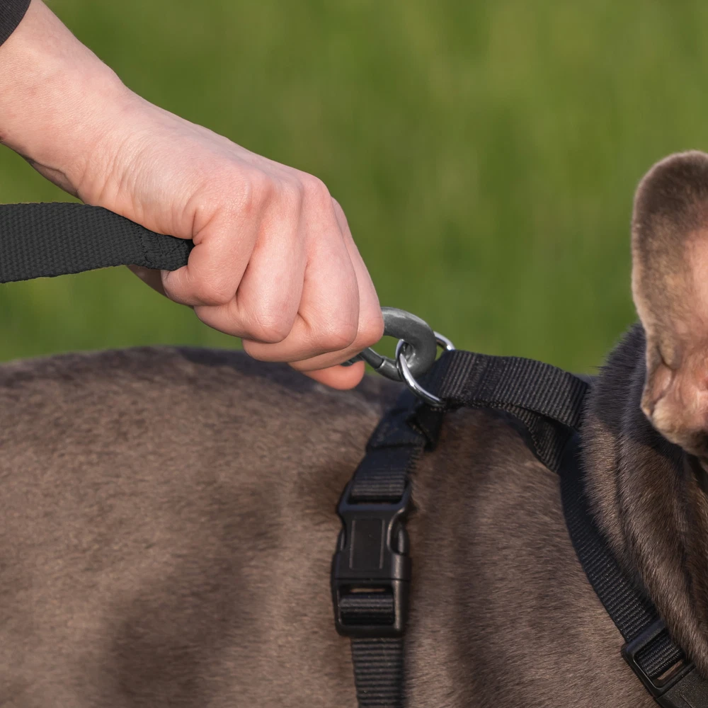 Dog Harness, Adjustable Mesh, Reflective Dog Walking Pet Harness, Black
