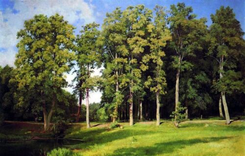 Peinture à l'huile d'art Chichkin Ivan Ivanovich - bosquet près de l'étang. Preobrazhenskoe - Photo 1 sur 1