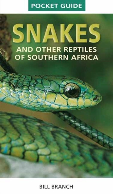 Pocket Guide to Snakes and other reptiles of Southern Africa by Bill Branch - Image 4