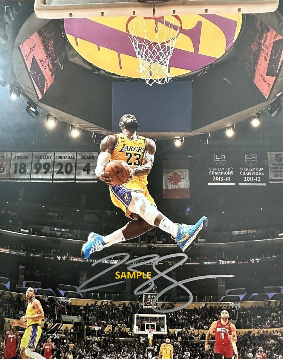 man in the arena lebron