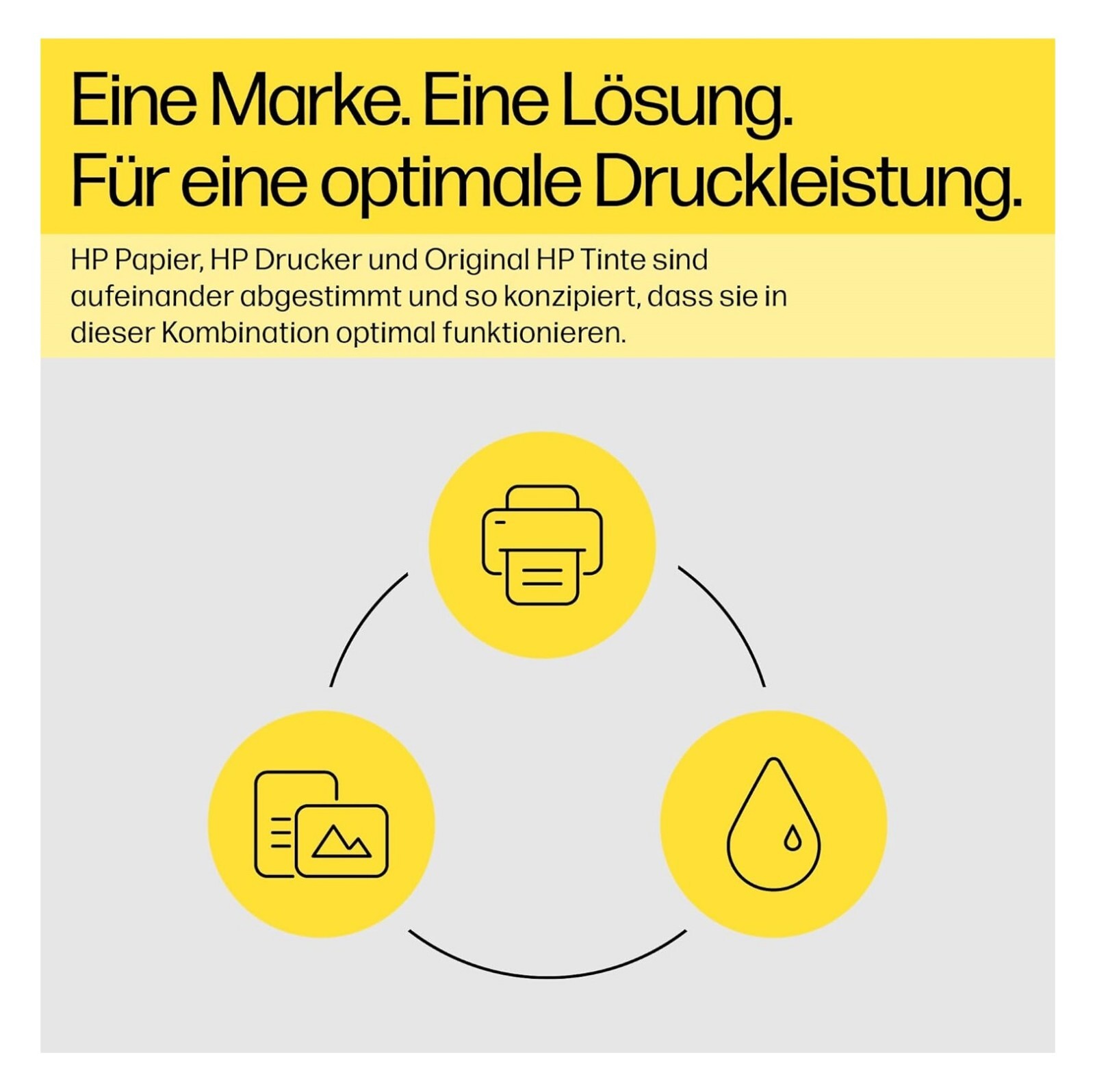 Bild 2 von 8