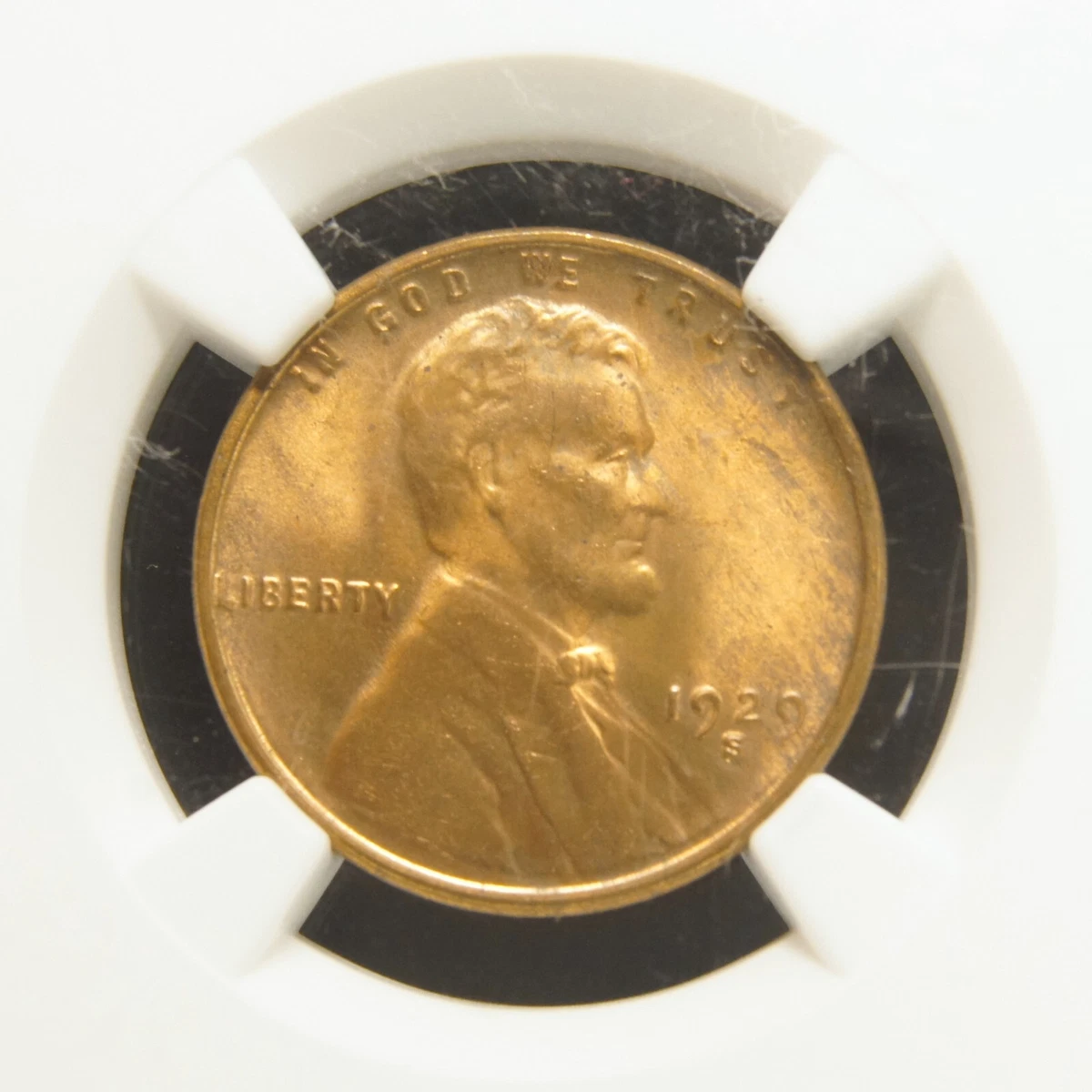 MS 64 Graded 1929 Year Lincoln Wheat US Small Cents (1909-1958