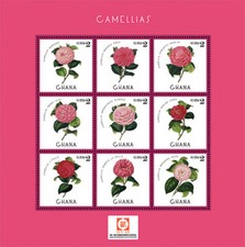 Ghana 2013 - Camellia Flowers - China Expo Sheet of 9 stamps - Scott #2762 - MNH
