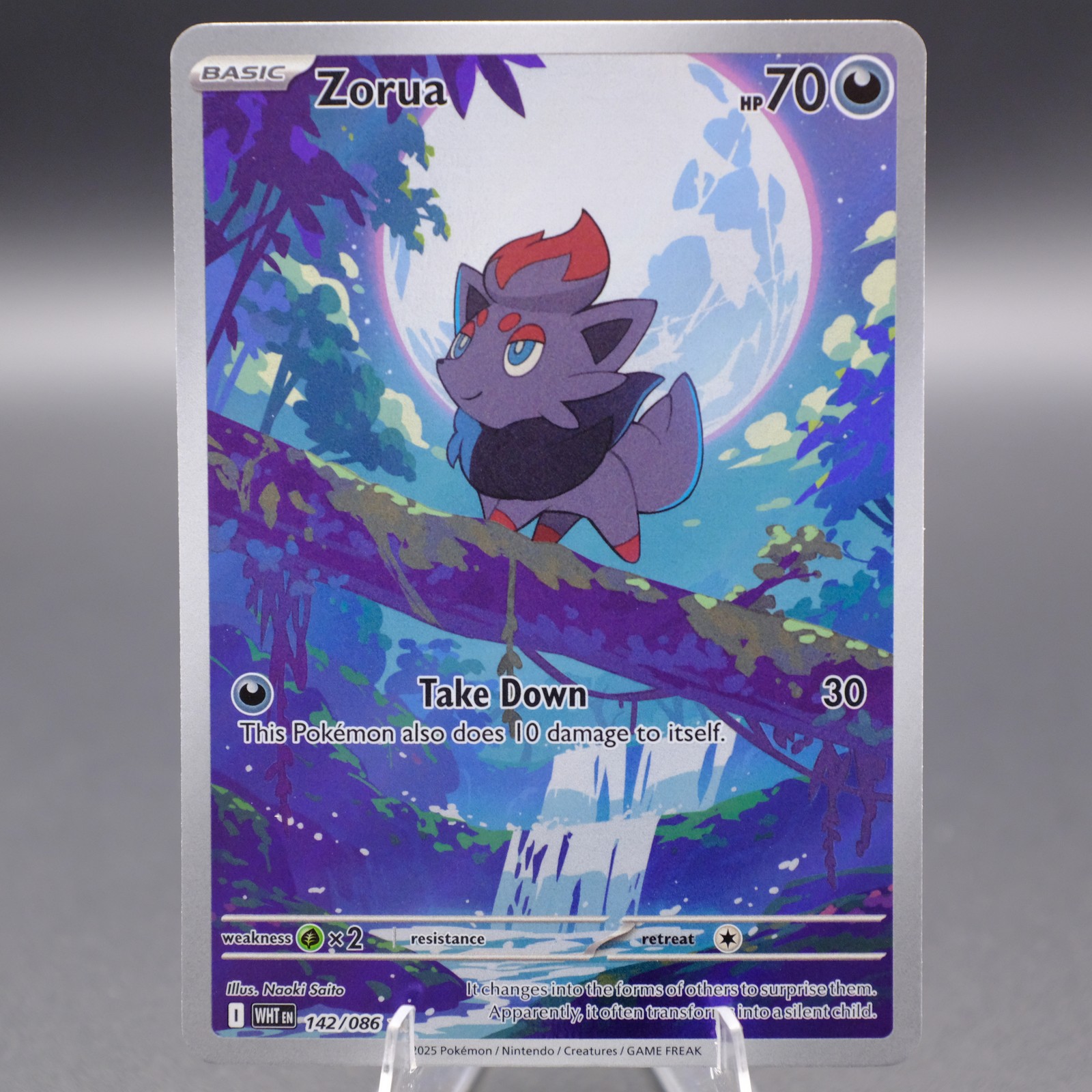 Zorua 142/086 Illustration Rare SV: White Flare Pokemon TCG NM