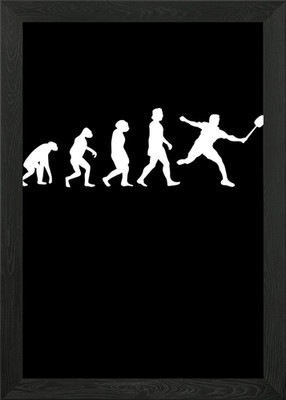 Shuttlecock Evolution Framed Wall Art Poster Canvas Print Picture