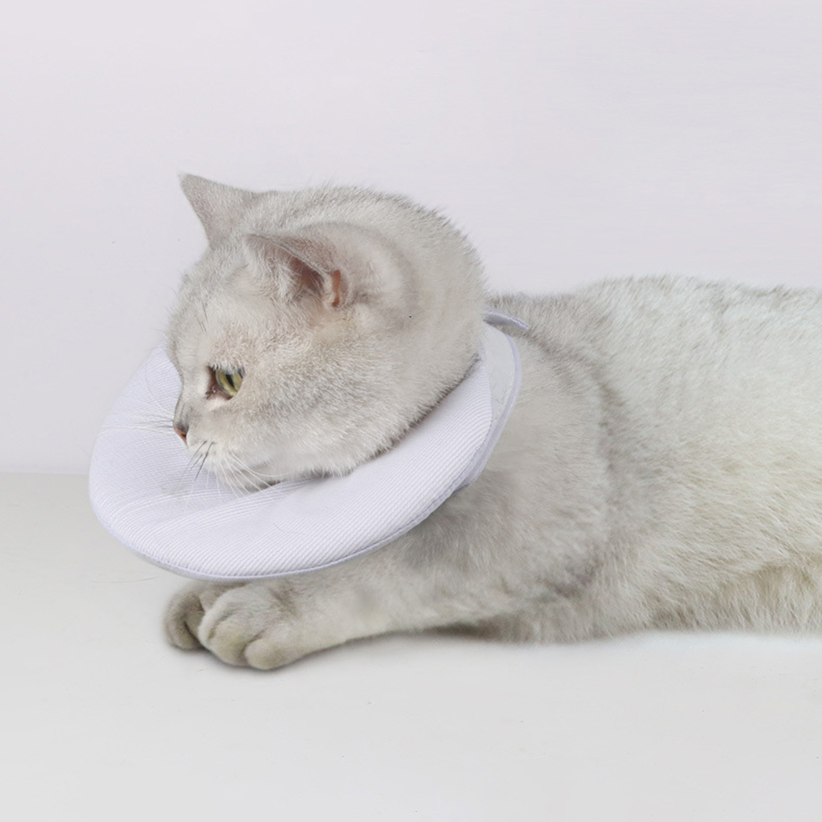 Pet Cone Collar Comfortable Wear Prevent Lick Antibite Lick Adjustable