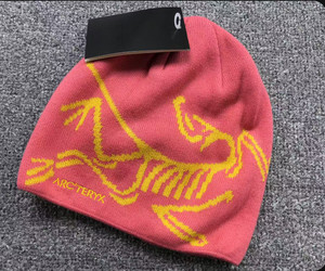 25+ Arc`teryx Beanie Pink for sale | Updated Oct 2026