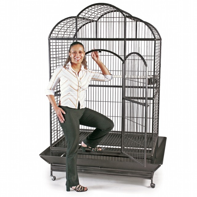 canary bird cage for sale
