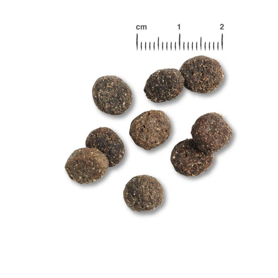 Belcando Finest GF Lamb 12,5 kg - getreidefreies Hundefutter mit Lamm - Bild 2 von 2